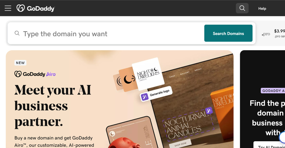 GoDaddy - Thumbnail
