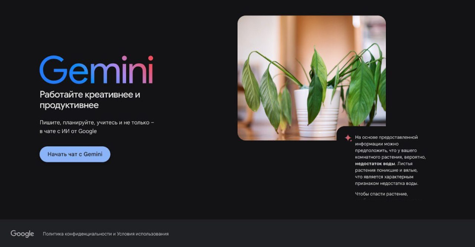 Gemini - Thumbnail